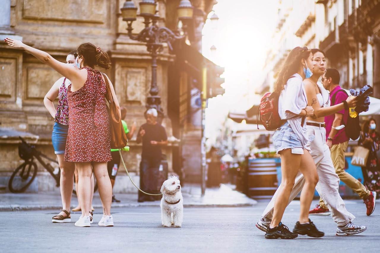 Come abituare il cane alle passeggiate serali d'estate: i consigli