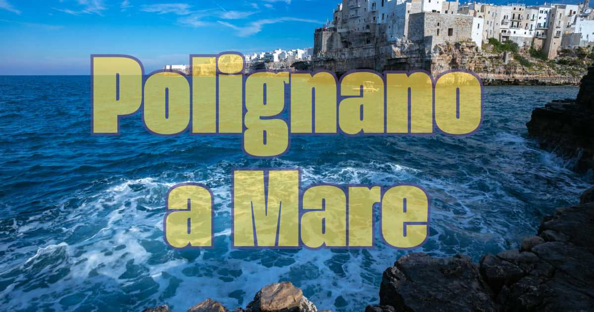 Da dove arriva il Maltese: le origini mediterranee