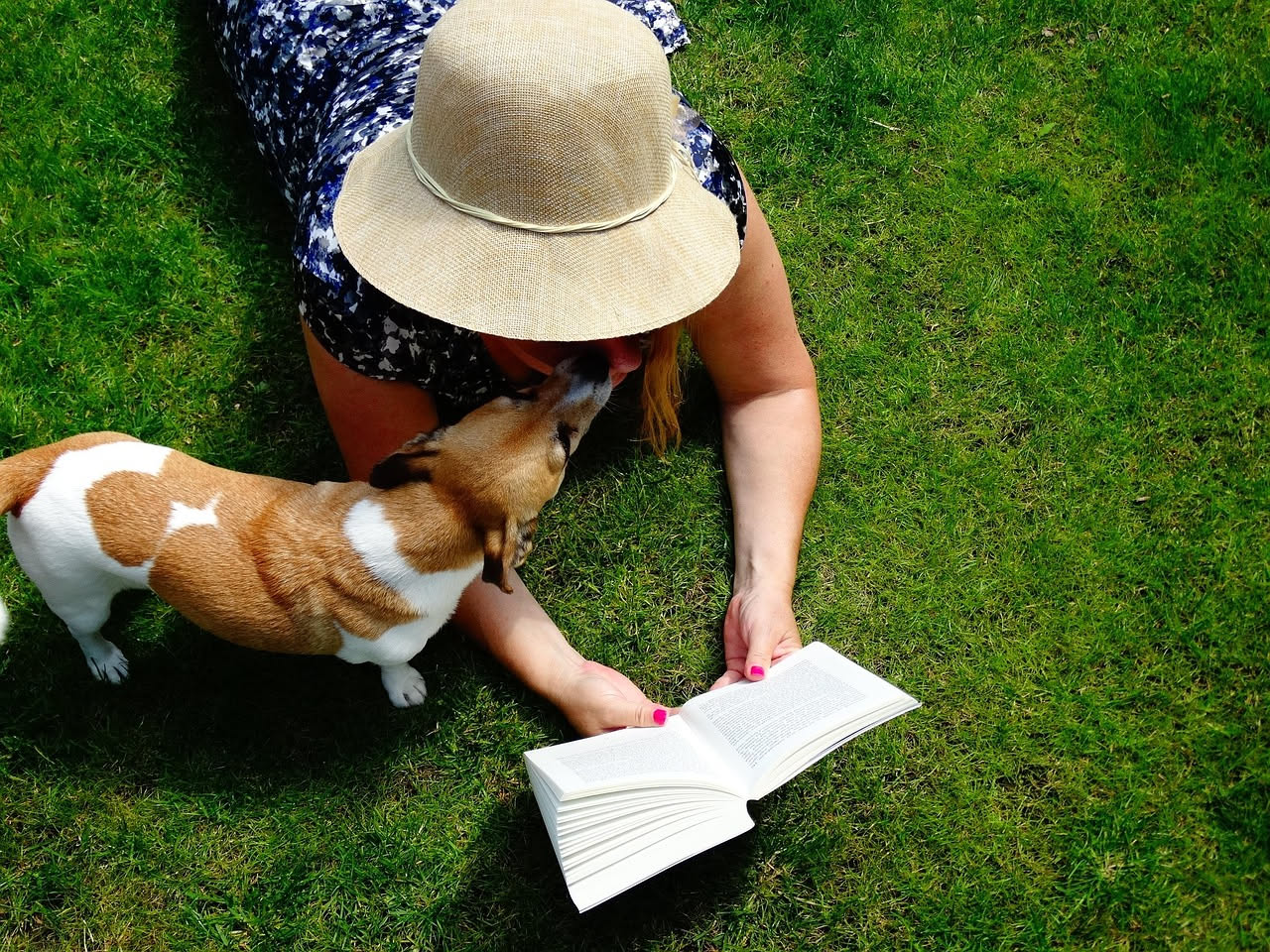 Perché il cane lecca le persone: cosa significa davvero
