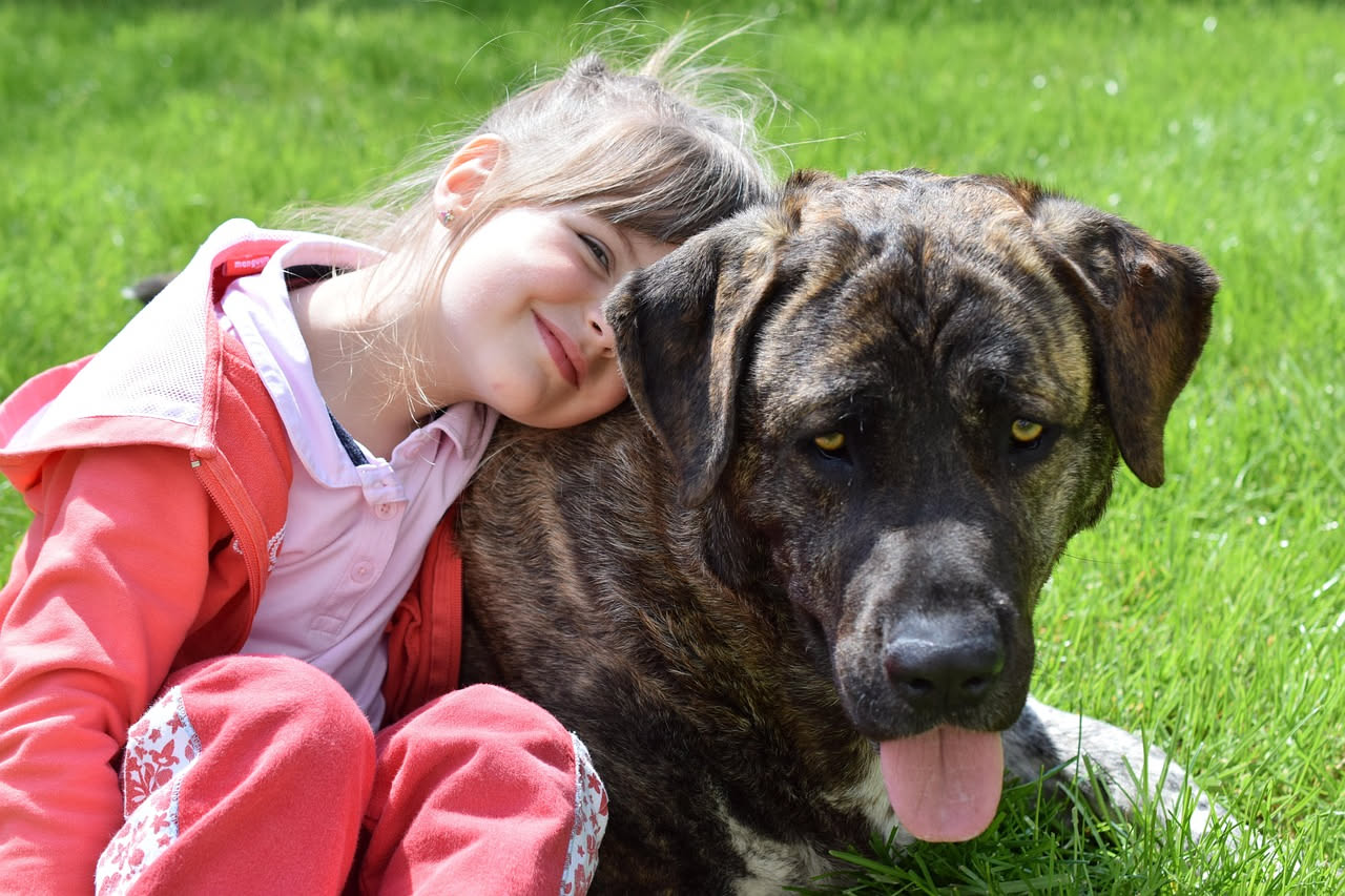 Qual è la storia del Rottweiler: le origini romane della razza