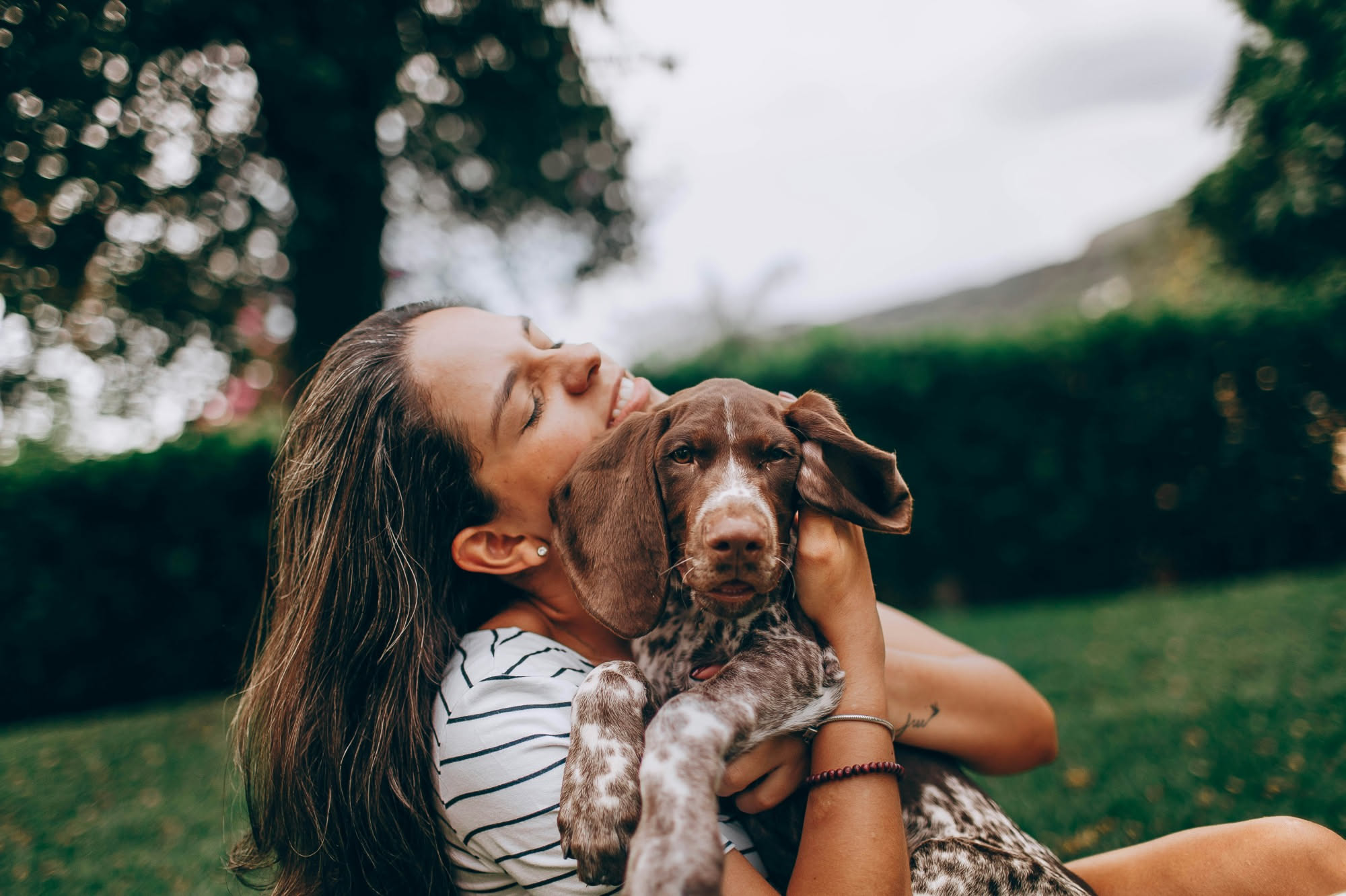 Cane marrone che appoggia dolcemente la testa sulla spalla di una persona seduta, in un momento di affetto e intimità