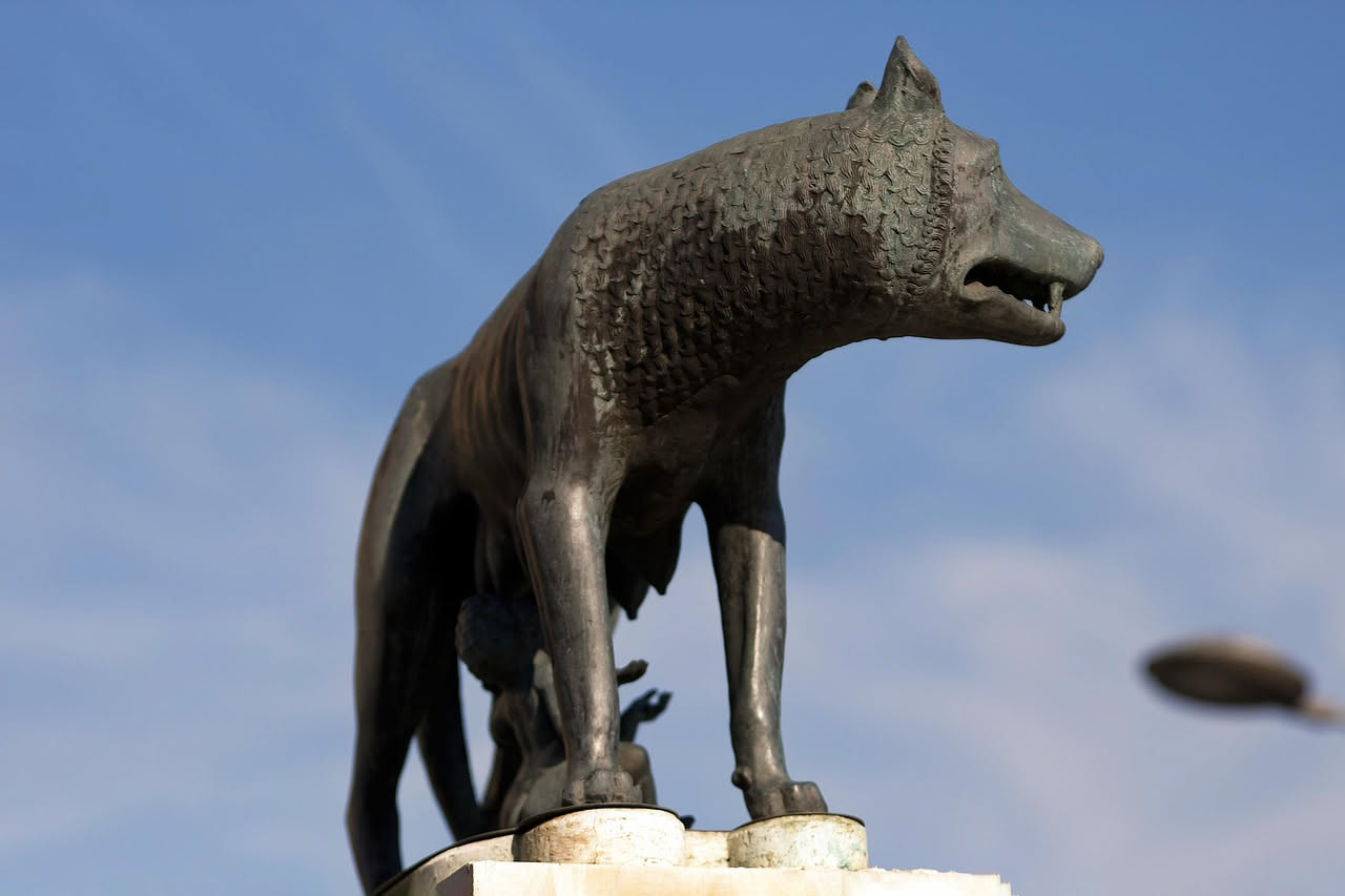 Perché il cane ha scelto l'uomo: le origini del legame