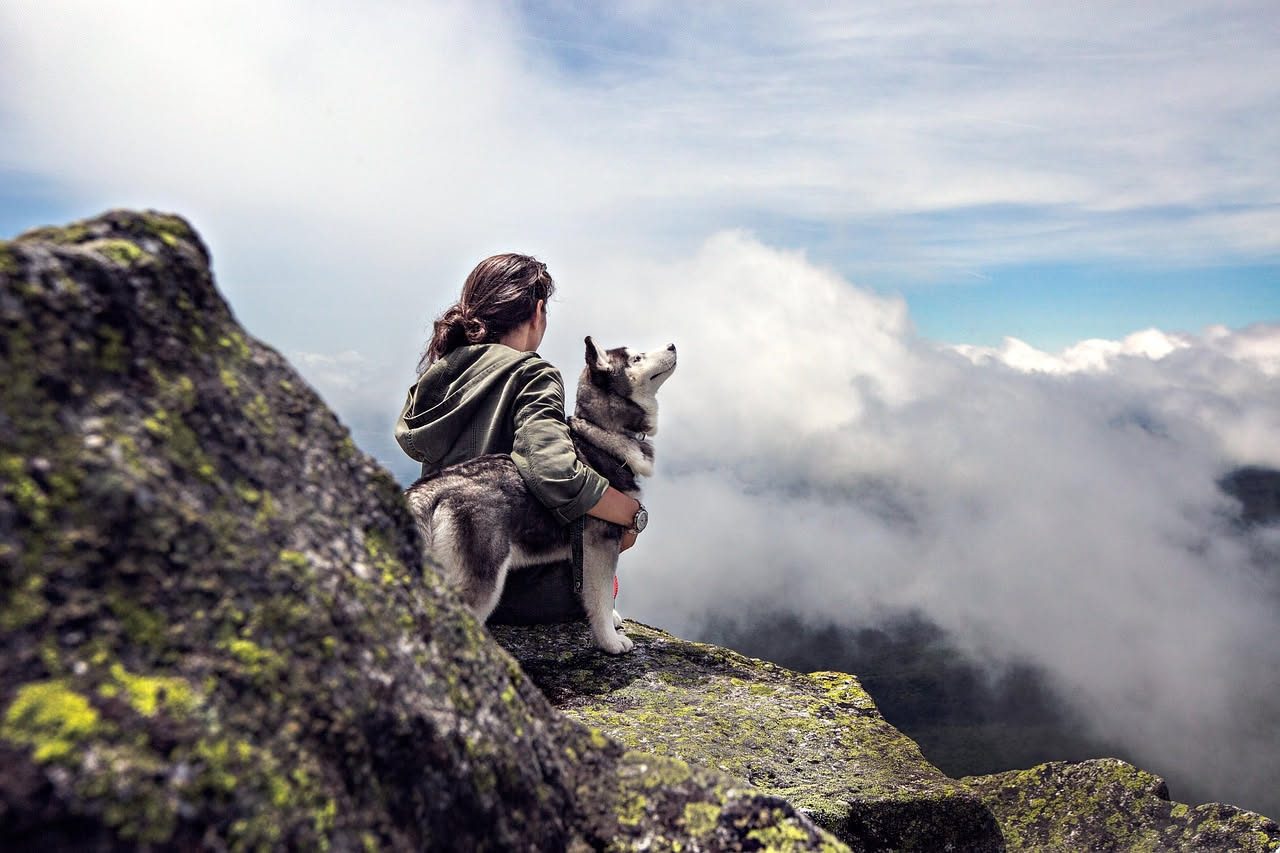 Quale cane scegliere in base alla tua energia: i consigli